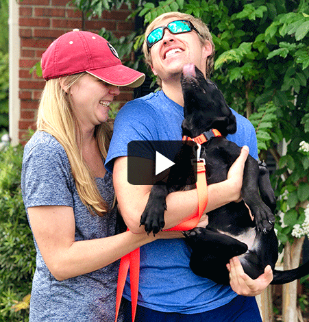 It's a New Day at Furkids | Furkids - Georgia’s Largest No Kill Animal ...