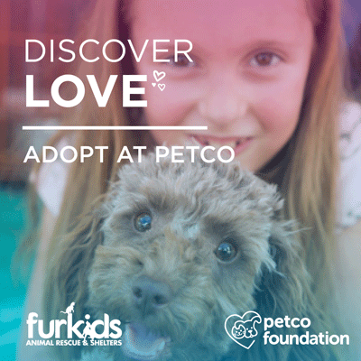 Discover Love February 16 & 17 at Furkids Locations in Select Atlanta Petco Stores