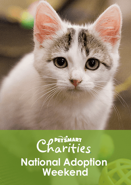 petsmart charities near me