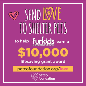 Did you adopt from Furkids?? Win prizes, help Furkids and be a part of the World’s Largest Virtual Valentine!