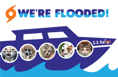 We’re Flooded! Can You Help?