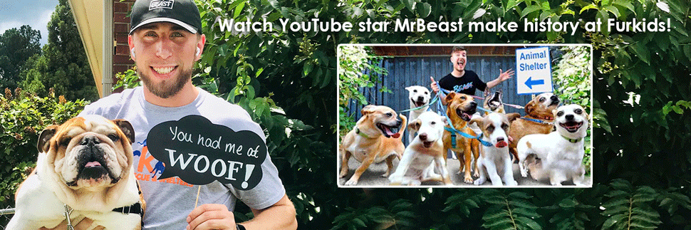 Watch YouTube Star MrBeast Make History at Furkids!
