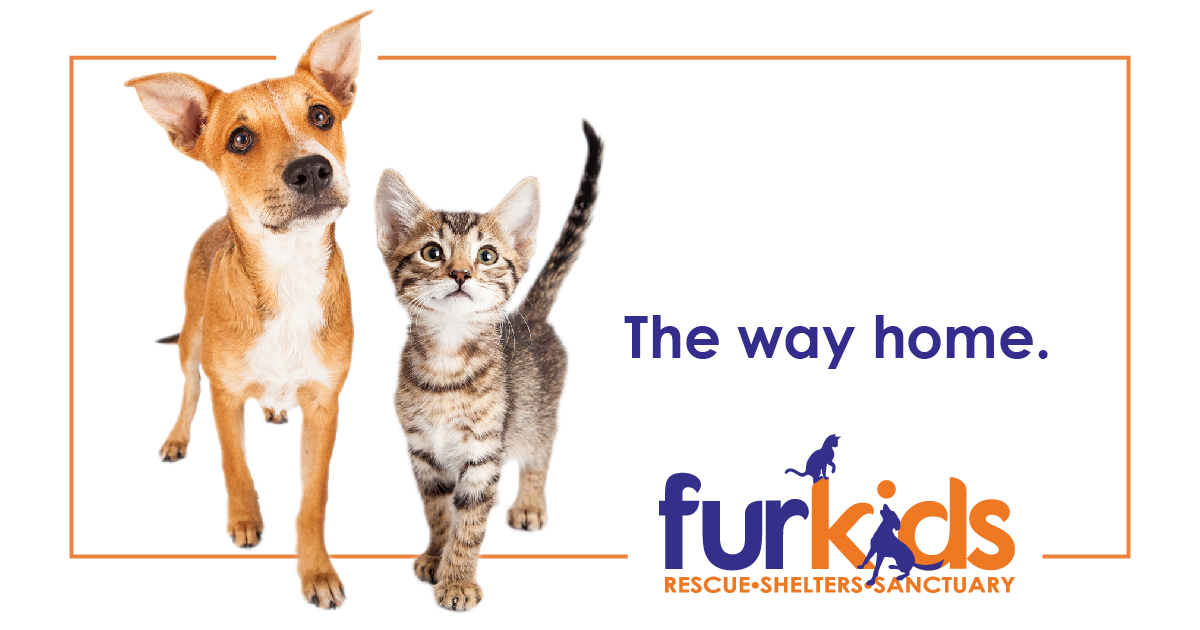 Atlanta's Largest No Kill Animal Shelter & Rescue | Dog & Cat Adoption |  Furkids - Georgia's Largest No Kill Animal Rescue & Shelters