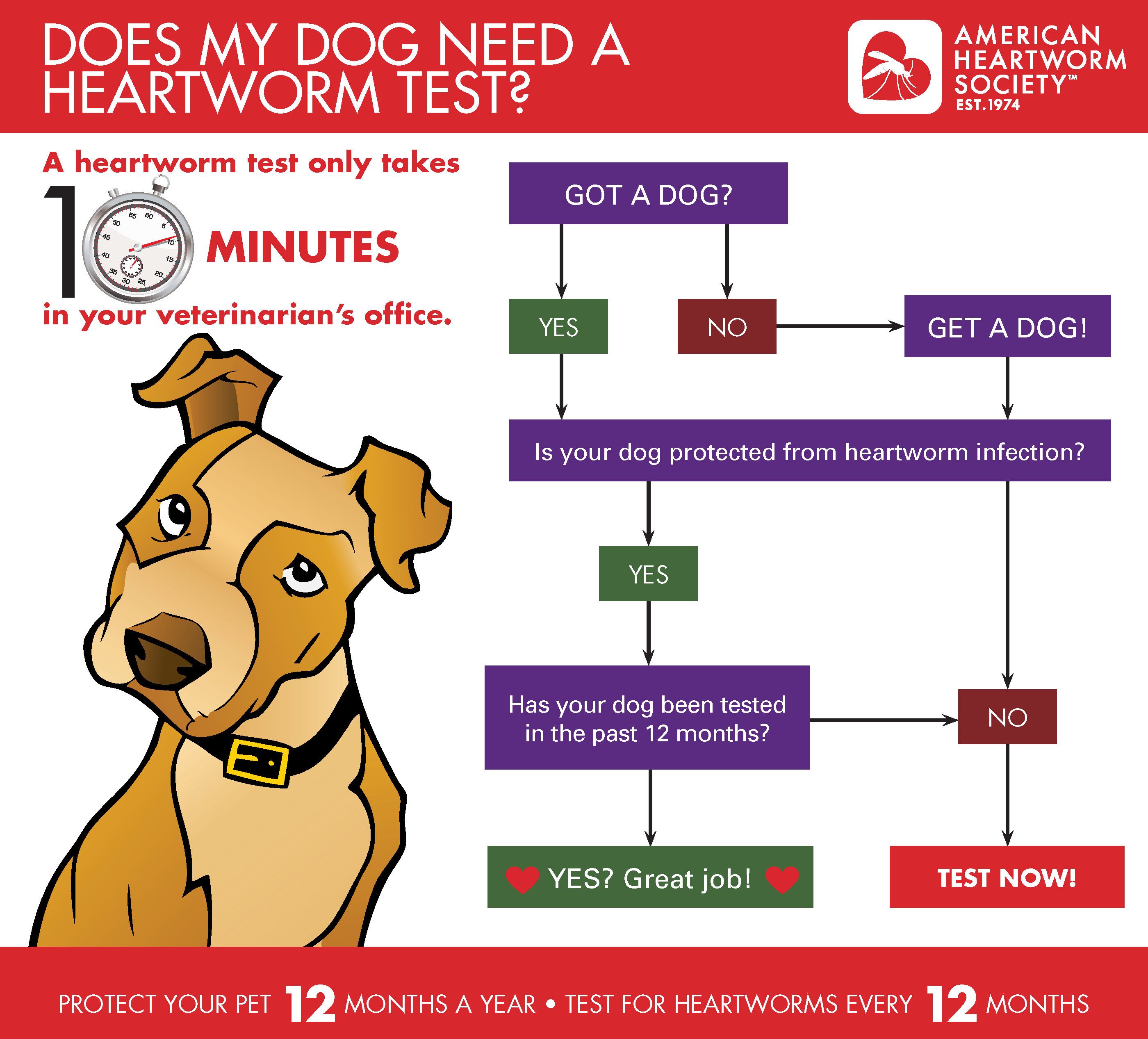 Treatment for 2025 heartworm positive dogs