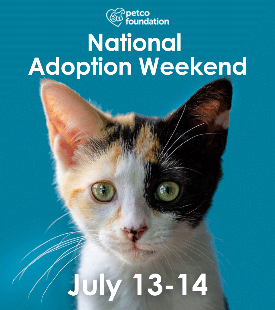Save A Life This Weekend With Furkids At Petco Furkids