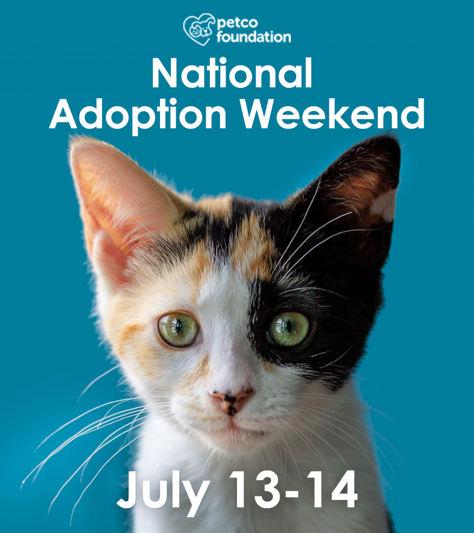 Save a Life this Weekend with Furkids at Petco Furkids