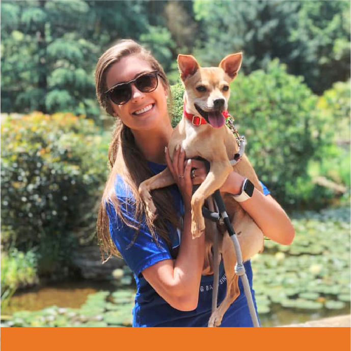 Animal Shelter Jobs For Teens