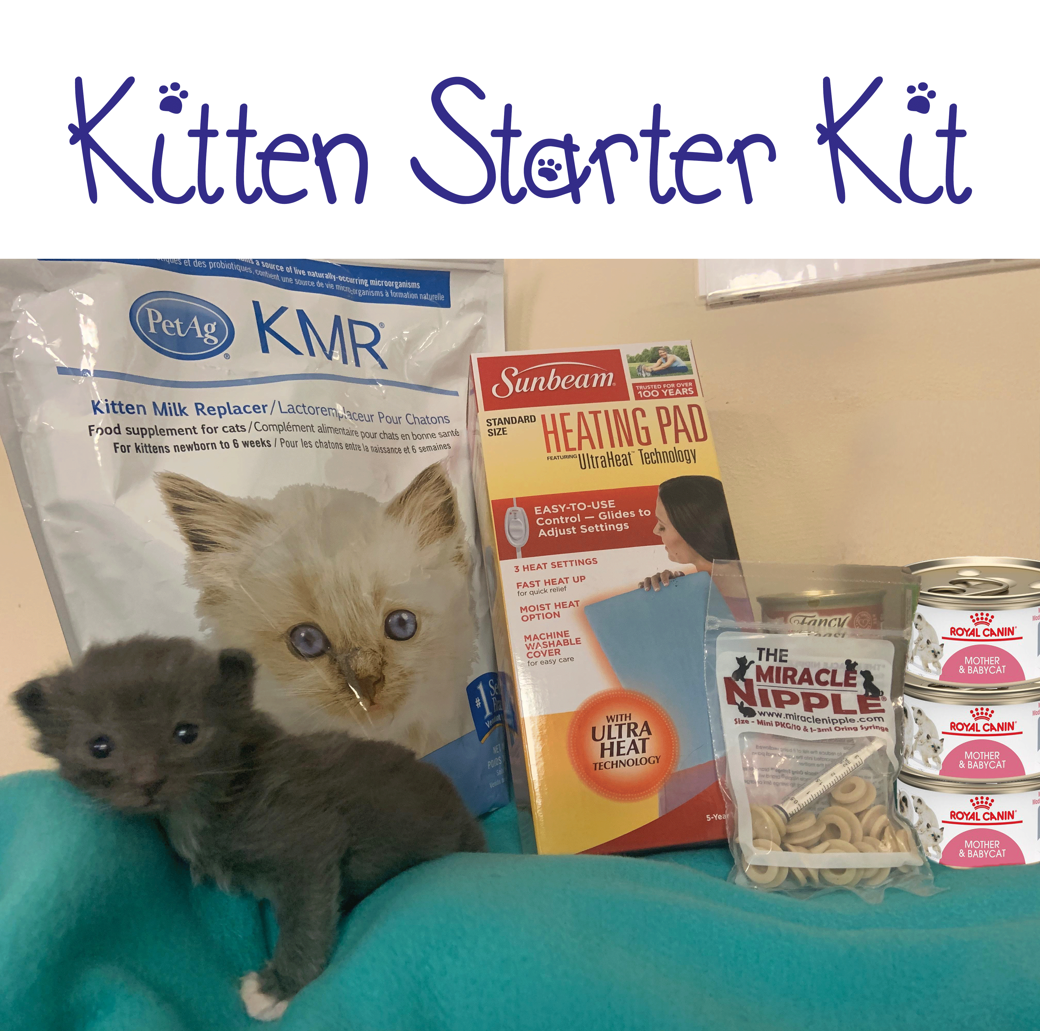 Cat Adoption Starter Kit