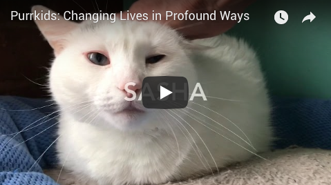 Purrkids: Changing Lives in Profound Ways