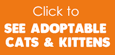 Click to see adoptable cats & kittens