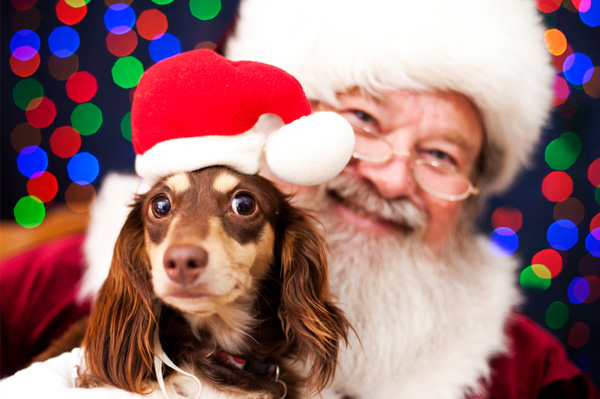 SANTA PAWS Comes to FURKIDS!