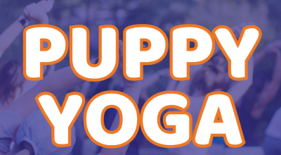 Puppy Yoga At Furkids HQ! November 21st