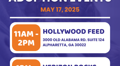 Dog and Puppy Adoptions at Hollywood Feed
