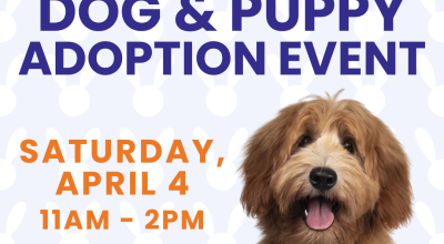 Dog and Puppy Adoption Event at Halcyon April 4