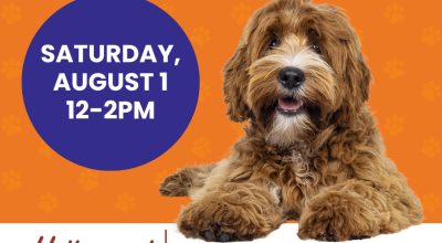 Dog adoption event at Hollywood Feed, Cumming (Aug 1)