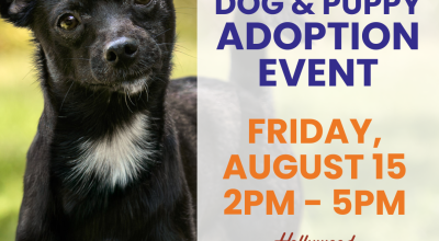 Dog and Puppy Adoption Event at Hollywood Feed in Alpharetta
