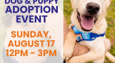 Dog and Puppy Adoption Event at Petsmart in Johns Creek
