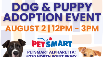 Dog & Puppy Adoptions at Petsmart Alpharetta - August 2nd from 12-3pm