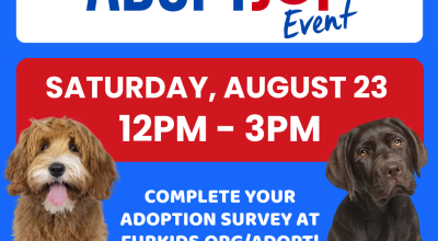 Petsmart Adopt Joy Event at Petsmart Aplharetta