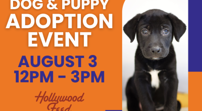 Hollywood Feed Dog and Puppy Adoption Event