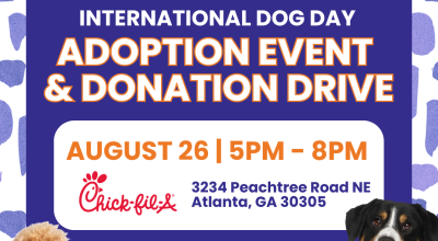 International Dog Day Adoption Event and Donation Drive