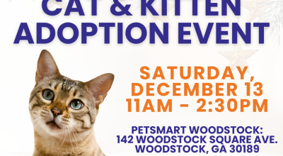 Cat and Kitten Adoption Event at Petsmart Woodstock on December 13th