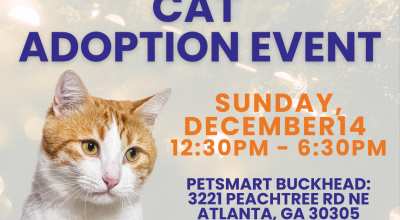 Cat Adoption Event at Petsmart Buckehead on December 14th