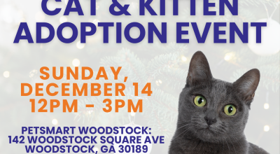 Cat and Kitten Adoption Event at Petsmart Woodsock on December 14th