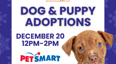 Dog and Puppy Adoption Event at Petsmart Decemeber 20