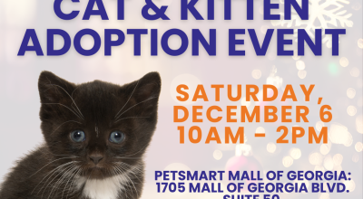 Cat and Kitten Adoption Event at Petsmart Mall of Georgia on December 6