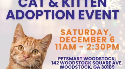 Cat and Kitten Adoption Event at Petsmart Woodstock on Decemeber 6th