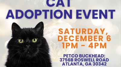 Cat Adoption Event at Petco Buckhead