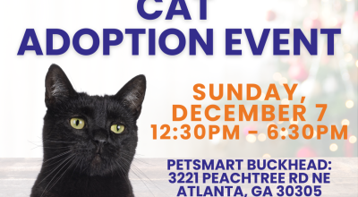 Cat Adoption Event at Petsmart Buckhead on December 7th