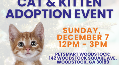 Cat and Kitten Adoption Event at Petsmart Woodstock on December 7th