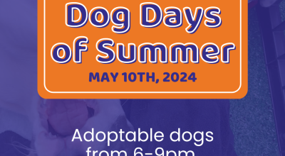 Fridays-n-Duluth: Dog Days of Summer