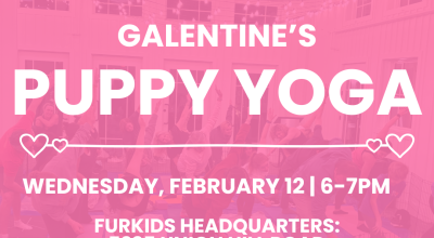 Galentines Puppy Yoga, February 12