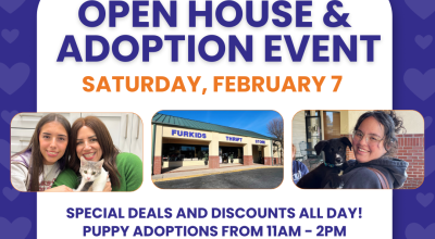 Johns Creek Open House Adoption Event