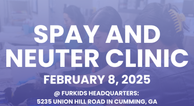 Spay and Neuter Day (February 8th)