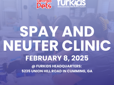 Spay and Neuter Day (February 8th)