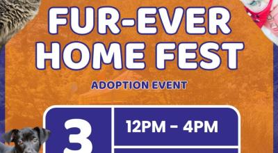 Fur-Ever Home Fest! (Massive Adoption Event)