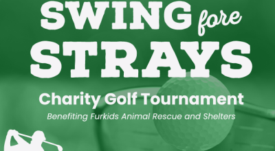 Swing Fore Strays 2026