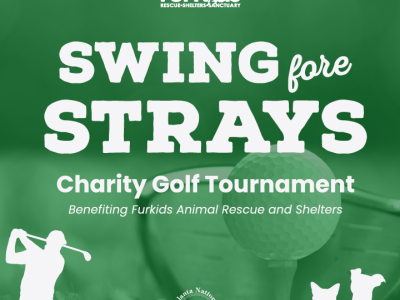 Swing Fore Strays 2026