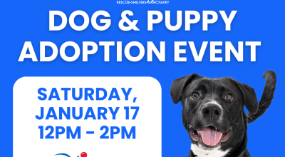 Dog & Puppy Adoption Event