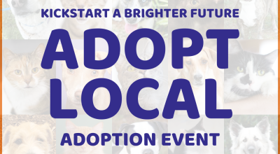 Adoption Event at Furkids Headquarters