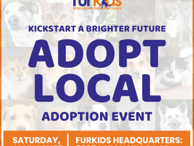 Adoption Event at Furkids Headquarters