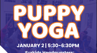 Puppy Yoga - January 2nd