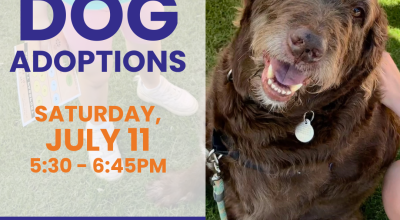 Dog Adoptions at Crabapple Market July 11