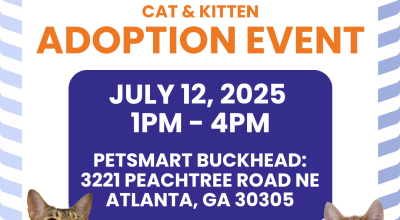 Cats and Kittens Adoption Event at Petsmart Buckhead