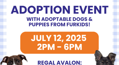 Dog and Puppy Adoption Event at Regal Avalon on July 12 Dog and Puppy Adoption Event at Regal Avalon on July 12
