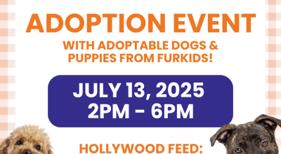 Dog and Puppy Adoption Event at Hollywood Feed July 13th Dog and Puppy Adoption Event at Hollywood Feed July 13th